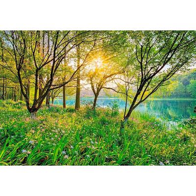Fototapete KOMAR "Spring Lake - Größe 368 x 254 cm", grün, B:368m L:254m, Papier, Tapeten, Wohnzimmer, Schlafzimmer Image