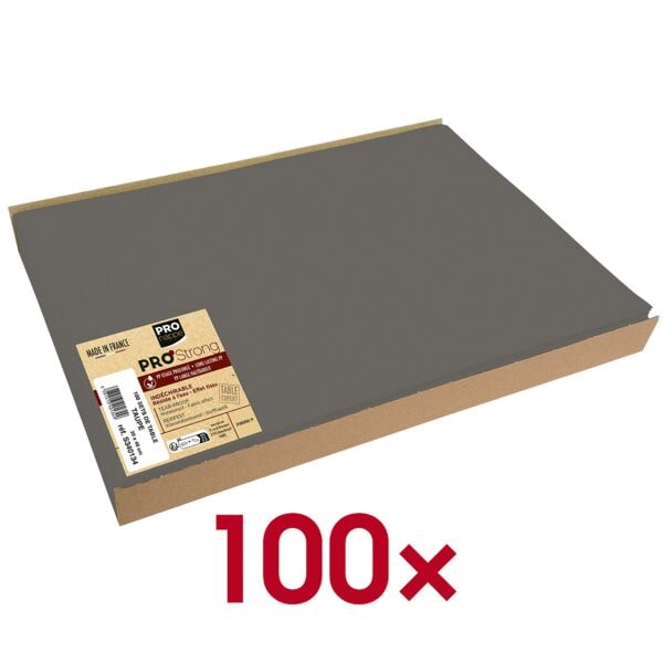 PROnappe Platzsets 100 Stück grau, 40x30 cm