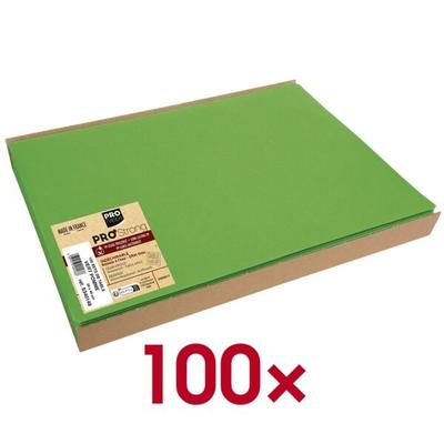 PROnappe Platzsets 100 Stück grün, 40x30 cm