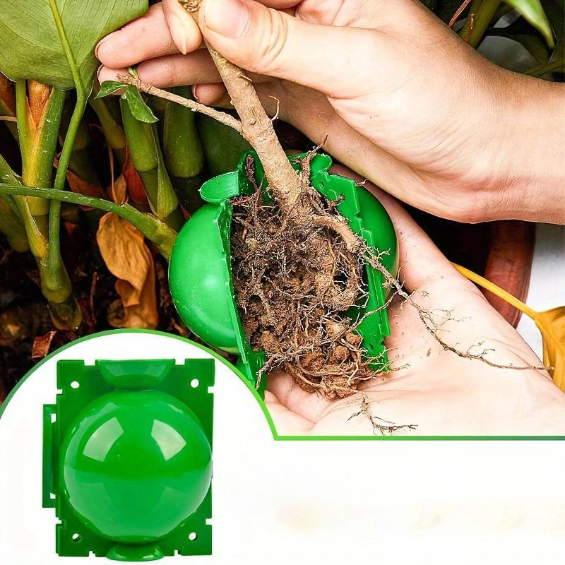 10 Stück Baumwurzel-Anbaubox, Wurzelkugel-Pfropfwerkzeuge, Hochdruck-Pflanzenvermehrung, Luftschichtungspads, Pfropfball Devi Image