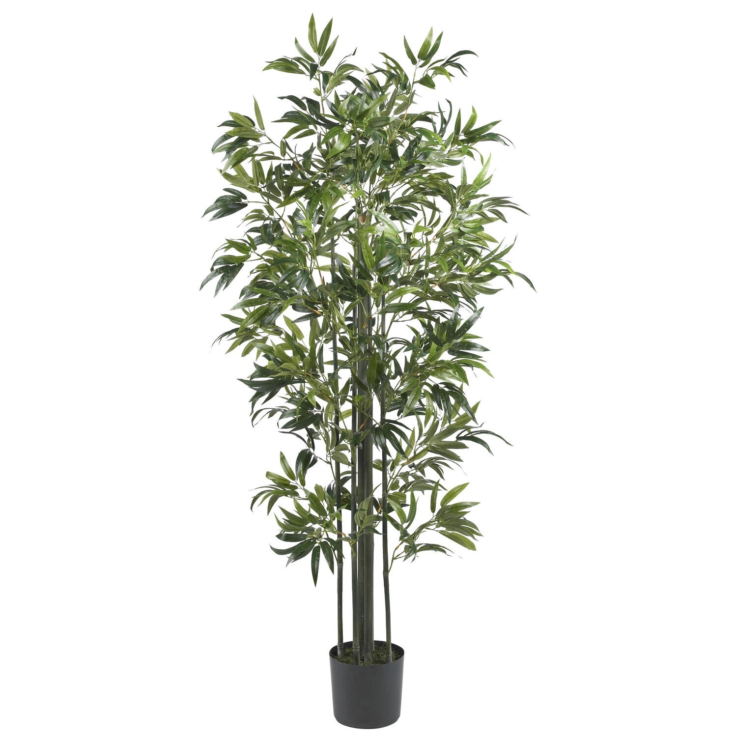 Artificial Silk Tree 6ft - Realistic Indoor Floor Plant with Green Trunks - Home Office Decor - 6ft.