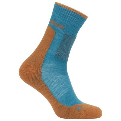 Icebreaker - Merino Hike+ Medium Crew - Wandersocken Unisex M | EU 42-44 bunt Image