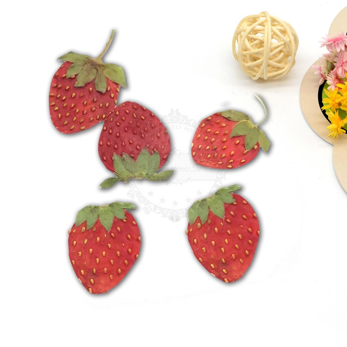 5 pezzi di fragole, esemplari di frutta, fiori pressati, fiori secchi, fiori secchi, fiori, fiori secchi, frutta secca