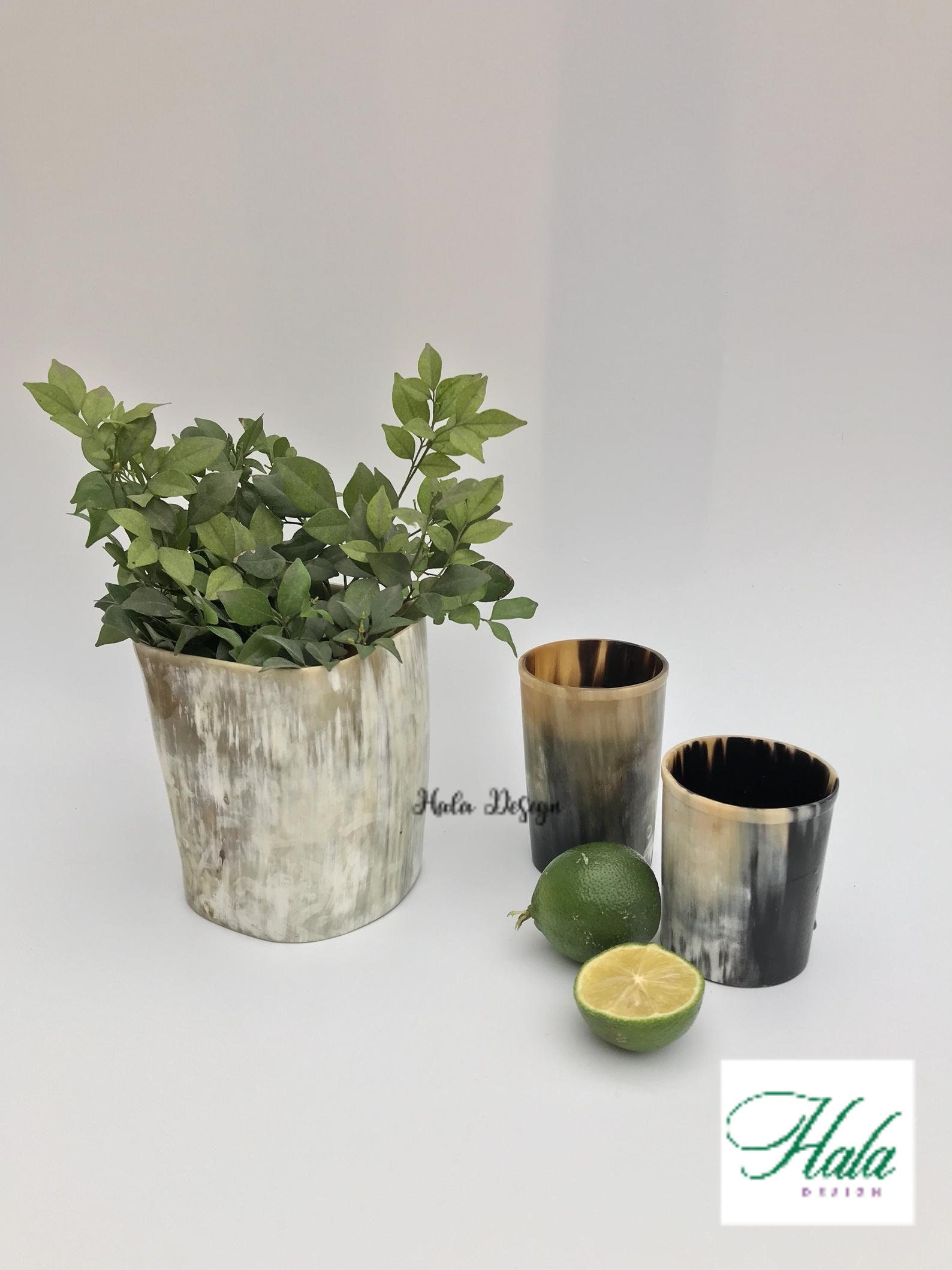 Bicchiere di whisky horn personalizzato, bicchiere di whisky singolo, bicchiere di whisky, bicchiere di whisky personalizzato, tazza di whisky, bicchi