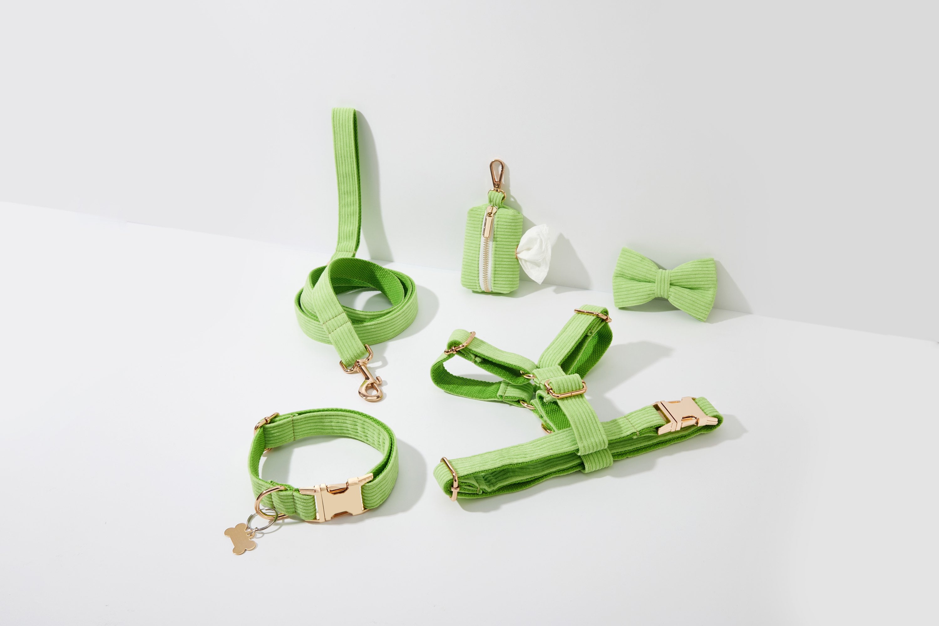 Guinzaglio per cani in velluto a coste color lime. Imbracatura Step in per cagnoline. Imbracatura personalizzata con fiocco per cuccioli. Set collare
