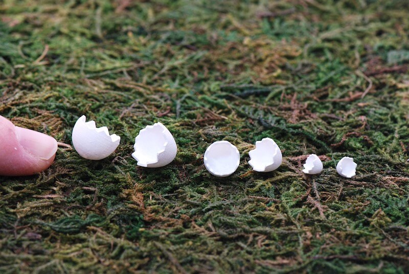 Miniatura per casa delle bambole, kit per uova rotte in tutte le scale, NUOVO! ~ Non verniciato