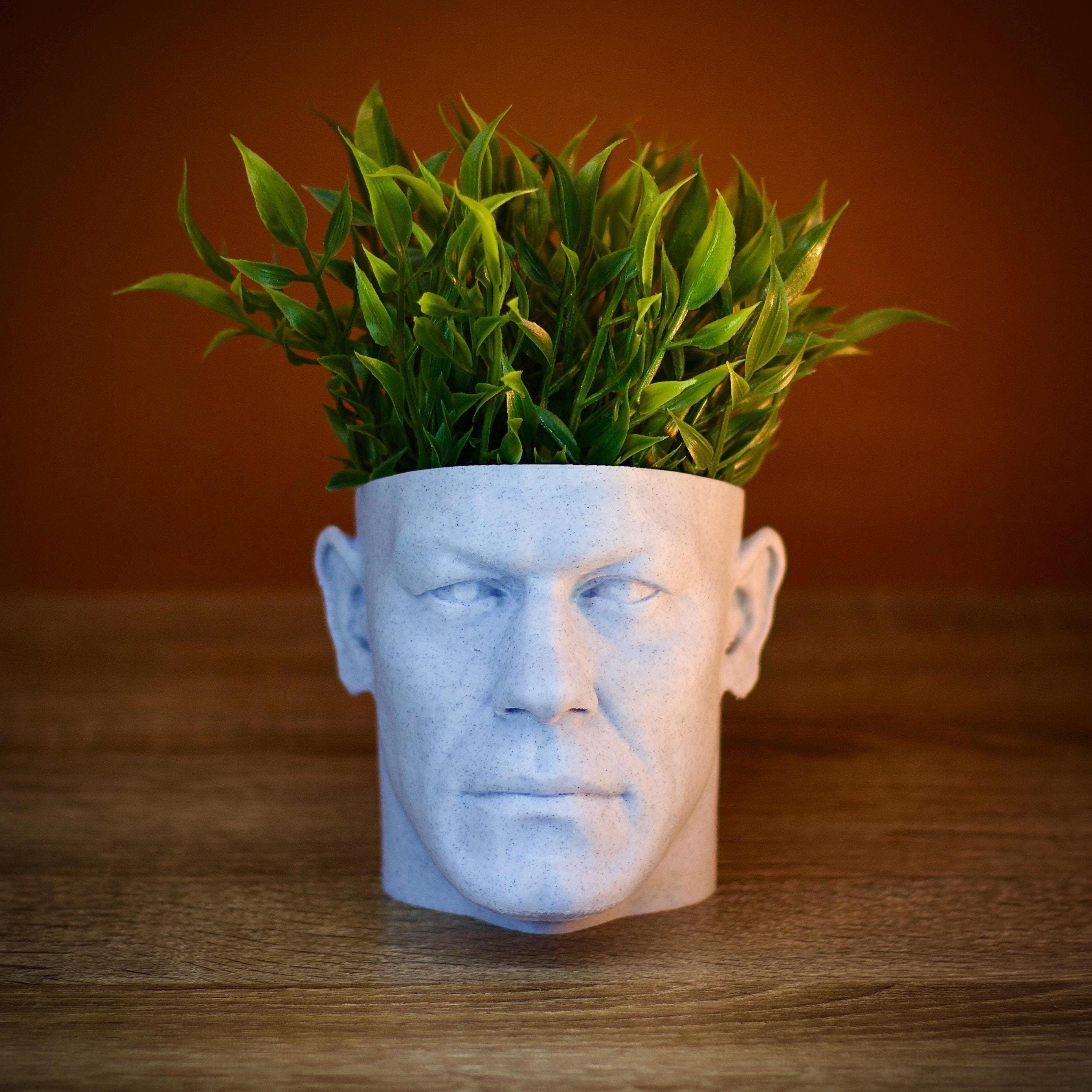 Vaso a forma di testa di John Cena - Vaso personalizzato con il volto di una celebrità, vaso per piante grasse a forma di star della WWE, regalo unico