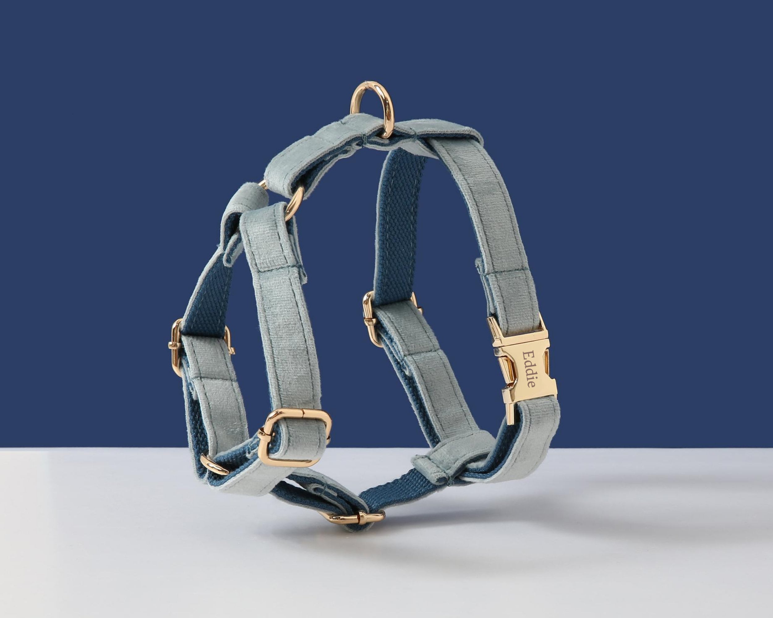 Set di pettorina e guinzaglio per cani in velluto blu, pettorina per cani maschi, pettorina e guinzaglio personalizzati per cani, pettorina anti-tiro,