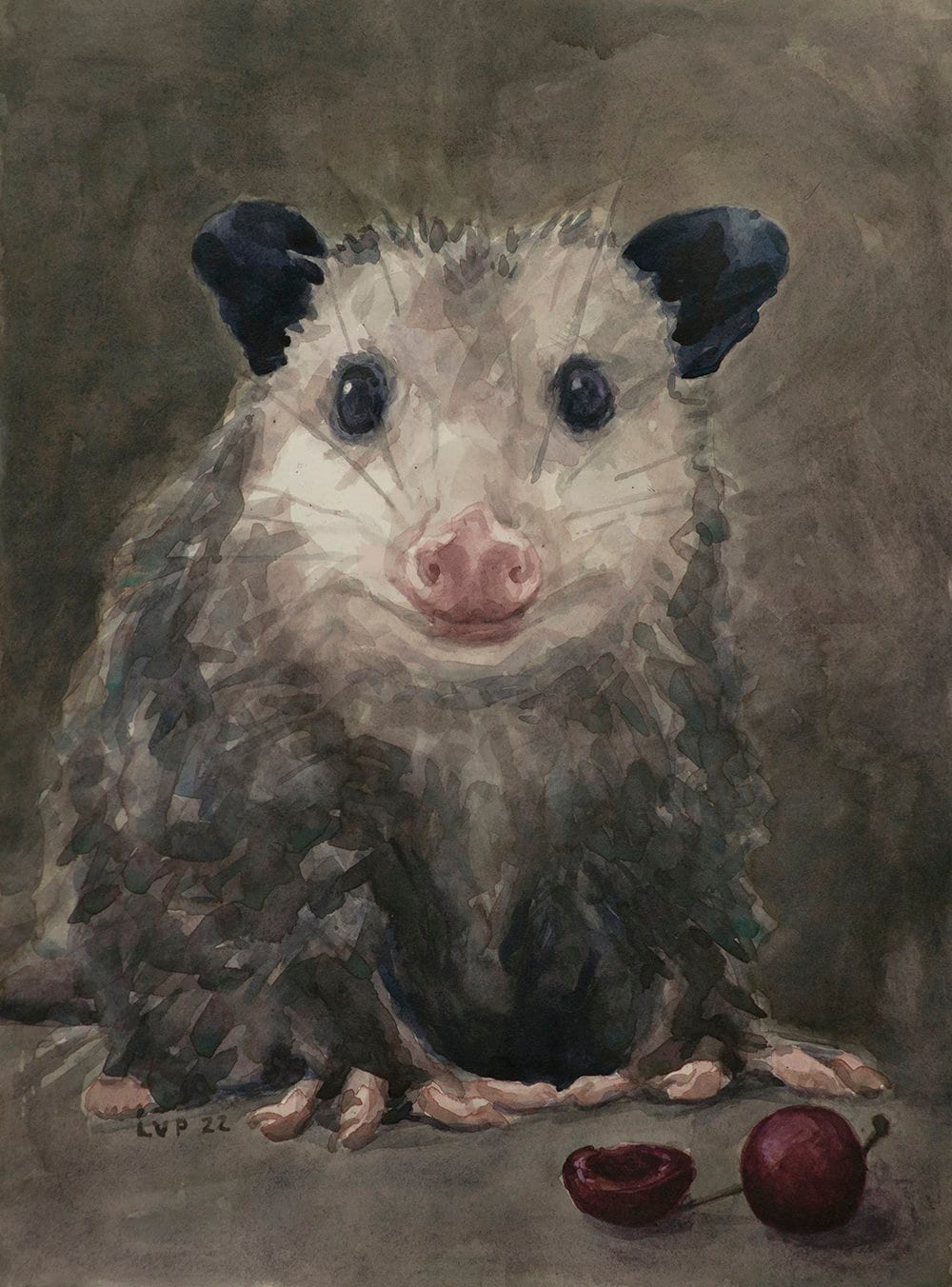 Opossum con ciliegia, stampa da acquerello di LVP, XL - 13 x 17,5 pollici / L - 11 x 14,8 pollici / M - 8,1 x 11 pollici / S - 5 x 6,8 pollici