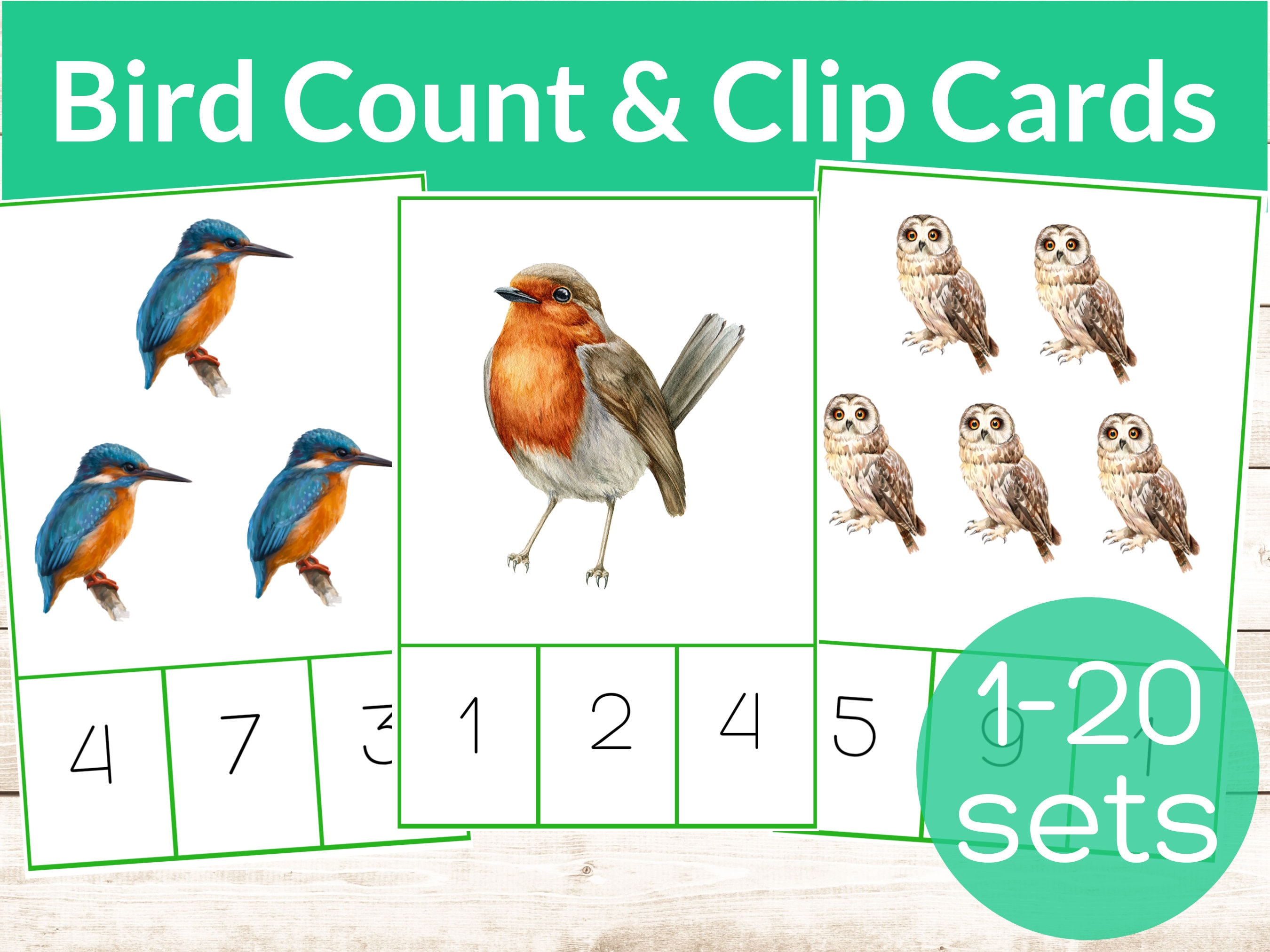 Bird Montessori Count & Clip Cards. Attività di matematica per la scuola materna e l'asilo. Studio dell'unità Bird and Spring. Numeri per la scuola ma