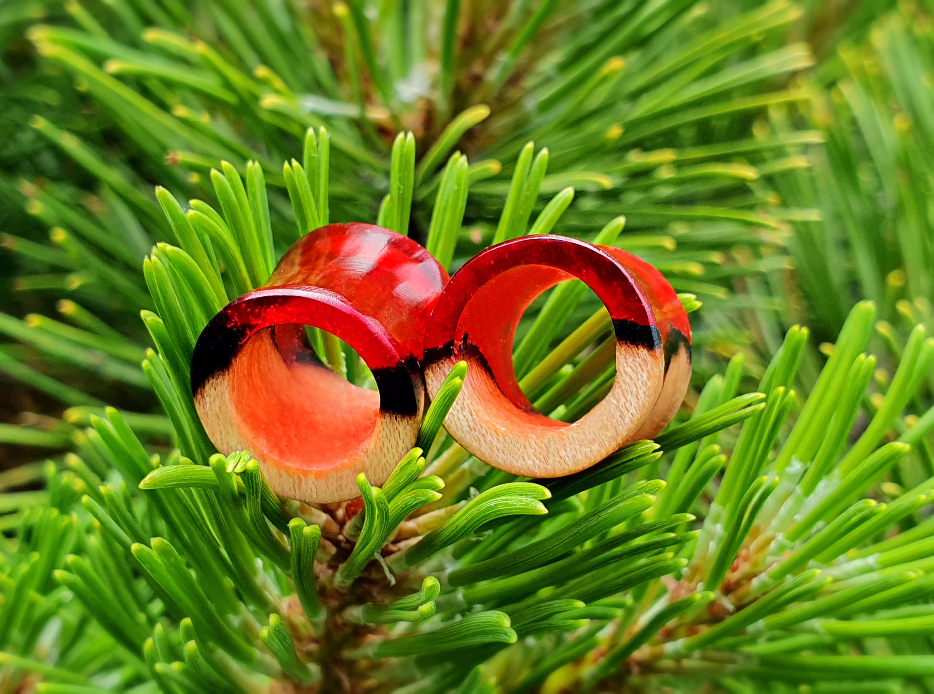 Coppia di tunnel, tappi e tunnel, calibri, tunnel in legno, calibri, tappi a doppia svasatura, tappi in resina, tunnel 00g, orecchini con calibri, cal