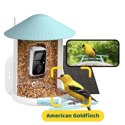 Birdfy Blue Solar Panel & AI Lifetime Free Smart Bird Feeder Camera, 1.5 Litre