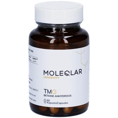 Moleqlar TMG Betain-Anhydrat Kapseln 60 St Image