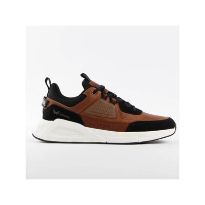 Basket Kaporal Homme Dolphin Image