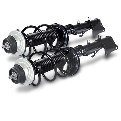 Atec 2x Federbein komplett hinten [Hersteller-Nr. 40670352] für Alfa Romeo