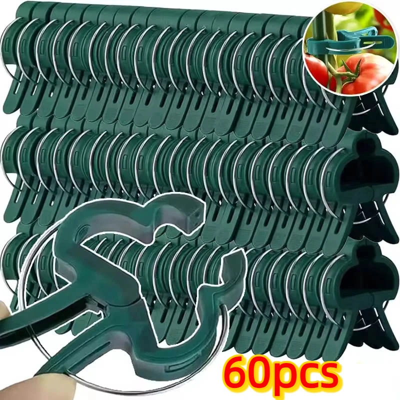 20–60 Stück feste Clips für Gartenpflanzen, verstellbare Pflanzenstielklammer für Gemüse, Tomaten, Kletterpflanzen, Astreben-Stützhalterung Image
