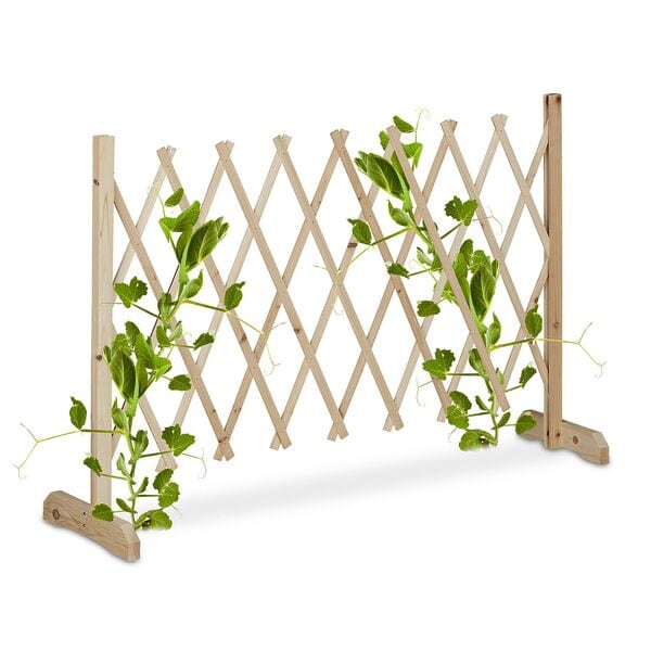 relaxdays Ausziehbares Rankgitter aus Holz bis 180 cm natur braun