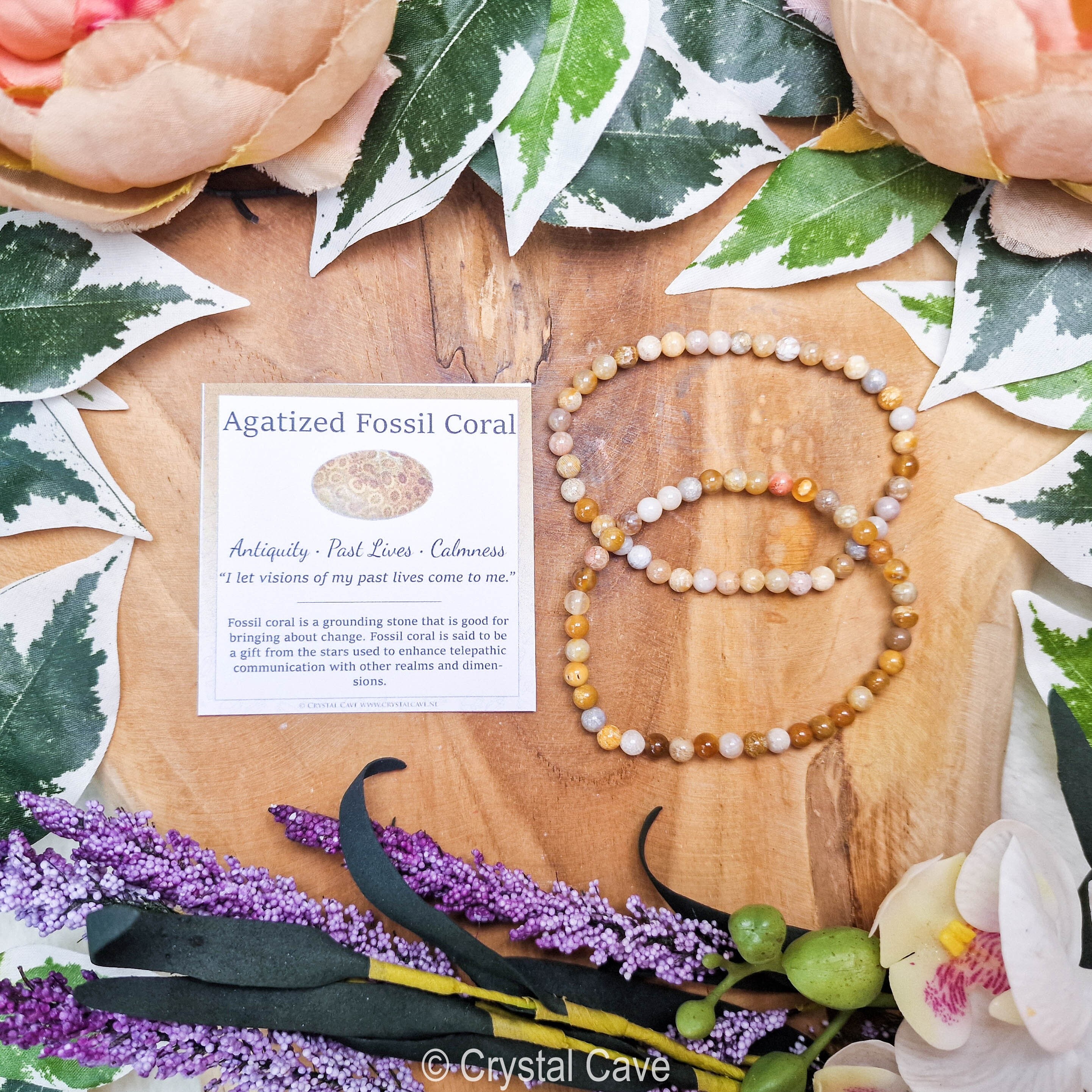 Braccialetto con pietre preziose di corallo fossile / Perline rotonde da 4 mm per gioielli, pietre naturali, bracciale elastico Powerbeads per uomo e