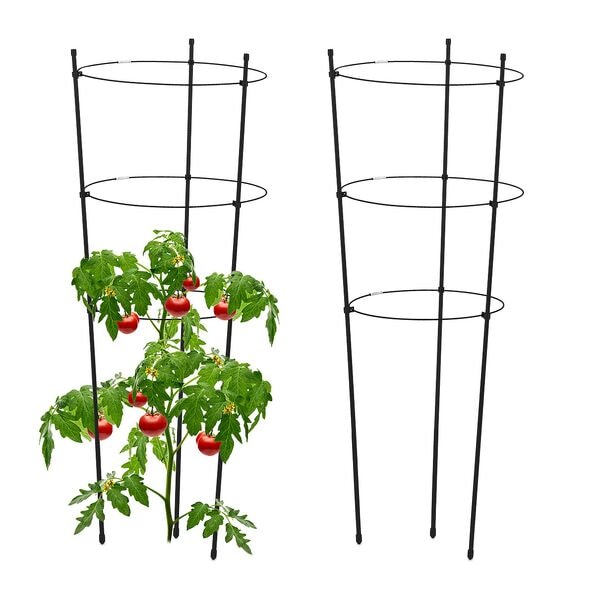 relaxdays 2er-Set Rankhilfe 76 cm Image