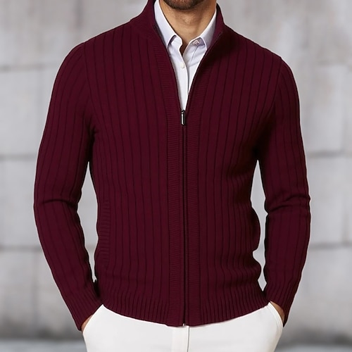 Herren Pullover Kleid Pullover Strickjacke Reißverschluss-Pullover Strickpullover Gerippt Stricken Kurz Gestrickt Gerippt Einfach Stehkragen Mode Schals Geschäft Lässig Bekleidung Herbst Winter