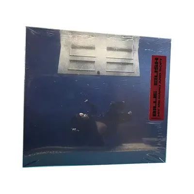 American pop singer and songwriter, the youngest artist to win all four Grammy AwardsHit Me Hard And Soft Recorded Music CD