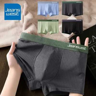 4Pcs Schlüpfer der Männer Baumwolle Streifen Boxer Mann Sexy U Pouch Design Mann Unterwäsche Komfortable Stretch Männer Boxer Shorts