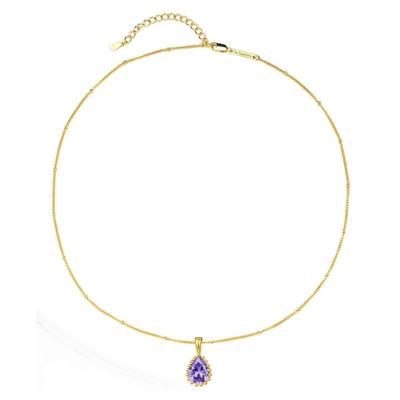 Hey Happiness - Februar Geburtsstein Halskette 925 Sterlingsilber Ketten 1 ct Damen (50.9 € / 1 ct) Image