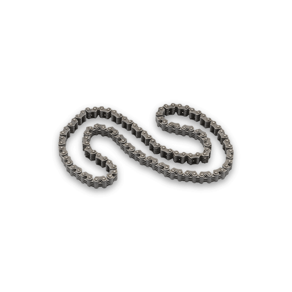 Borsehung Steuerkette BMW,TOYOTA,MINI B1C028 11417797896 Image