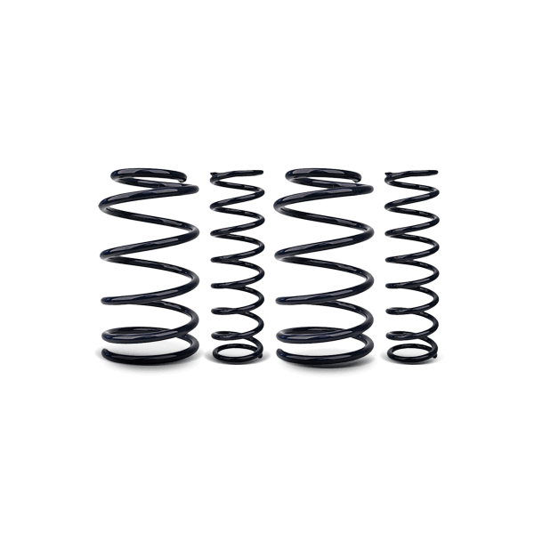 EIBACH Fahrwerksatz, Federn MITSUBISHI E10-60-013-04-22 10600130422 Image