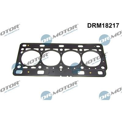 Dr.motor Automotive Dichtung, Zylinderkopf [Hersteller-Nr. DRM18217] für Renault Image