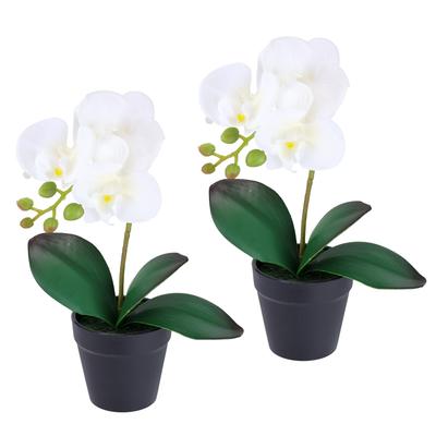 Kunstorchidee I.GE.A. "Orchidee im Topf 2er Set", weiß, B:18cm H:30cm L:9cm, Polyester, Kunstpflanzen, Künstliche Phalaenopsis 30cm Real Touch Blume Kunstblume Seidenblume Image