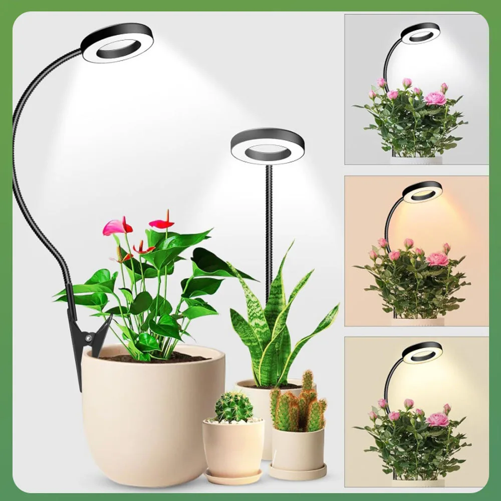 LED-Vollspektrum-Pflanzenlampe, zwei Möglichkeiten, Topflampe, Dimmzeit.