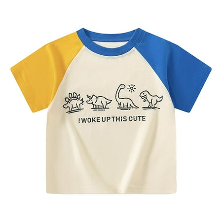 Razzly Toddler Boys Sports Youth Boy Boys Tops Boys Top Mens T Shirts Fruit Shirt Boy Summer Shirt Boys Thermal Sports Toddler Sleeveless Shirt Youth Basketball Shirt Boy Toddler(Blue 18-24 Months)