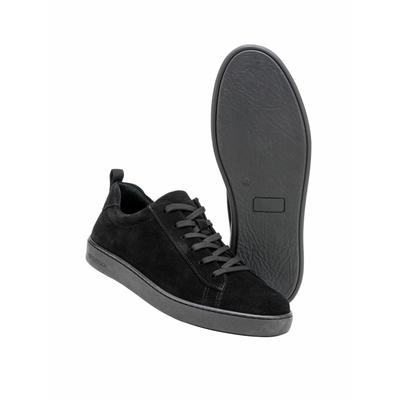 Panther-Sneaker Image