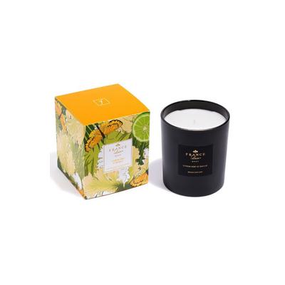 Plus Size Women's Scented Candle by France Luxe in Figue Bois De Cedre (Size OS)