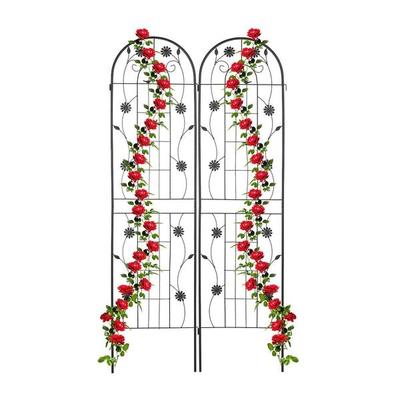 relaxdays 2er-Pack Rankgitter 200 cm Image