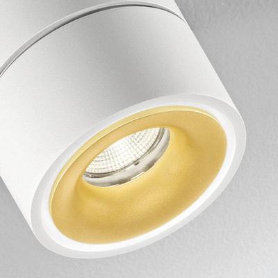 Egger Licht DLS LED-Deckenspot Clippo S Duo, 2-flammig, weiß-gold dimmbar, weiß / opal, für Arbeitszimmer / Büro, Aluminium, Modern, Downlights Image