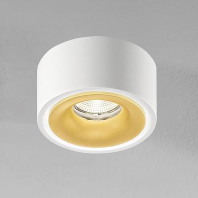 Egger Licht DLS LED-Spot Clippo EP, weiß-gold, 2.700K dimmbar, weiß / opal, für Arbeitszimmer / Büro, Aluminium, Modern, Downlights Image