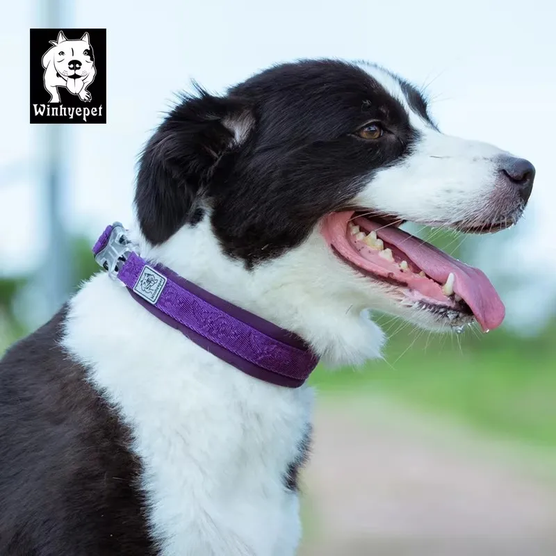 Winhyepet Verstellbares Hundehalsband aus Nylon mit robuster 3M-reflektierender Schnalle für alle Hunde – Sichtbarkeit bei schwachem Licht YC1853 Image
