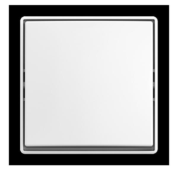 Busch-Jaeger Wippschalter AP 2601/6 J-524 2TKA00005521 Image