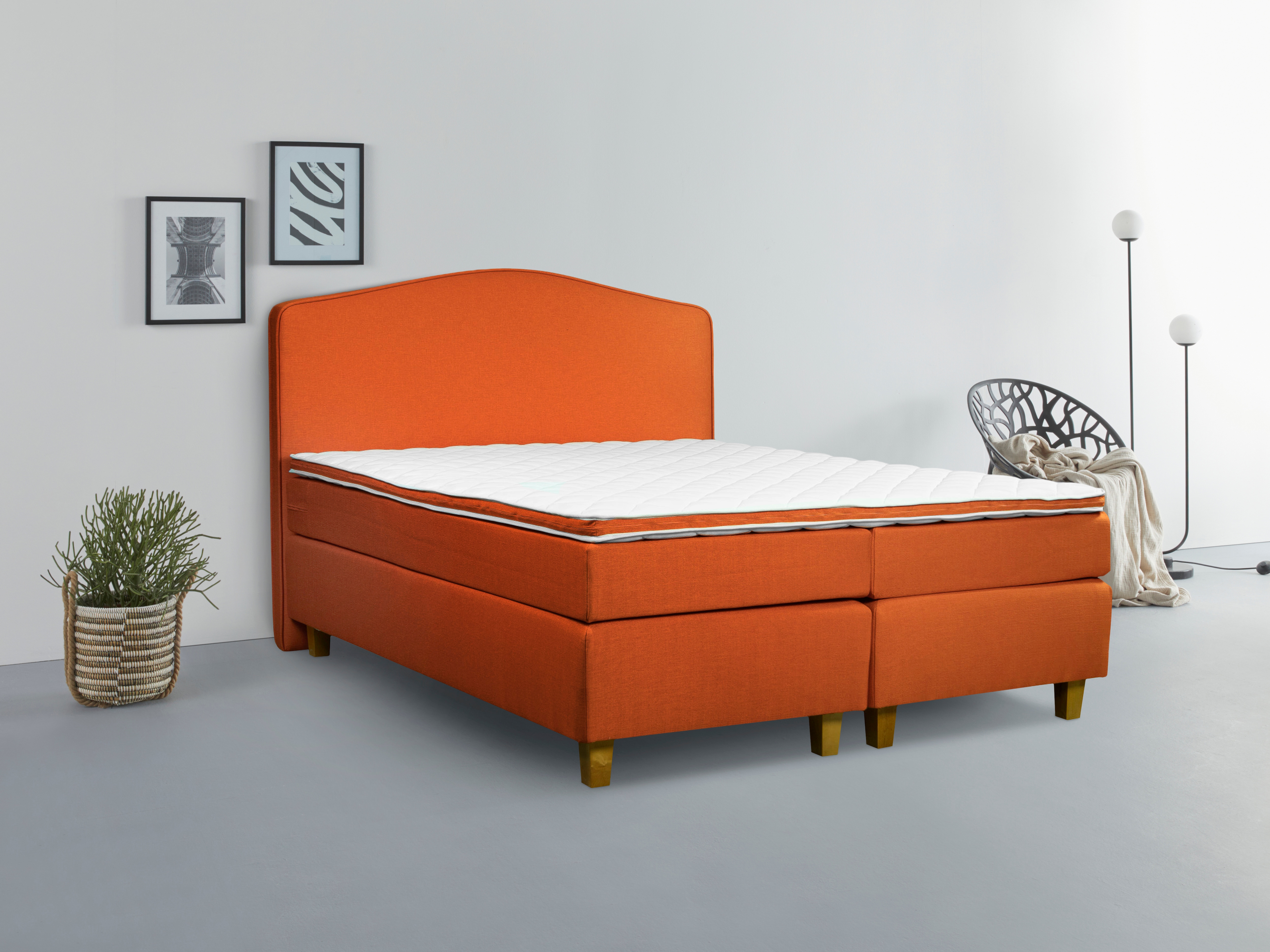 Boxspringbett INOSIGN "Jalma", orange, B:161cm L:208cm, 100% Polyester, Komplettbetten, Boxspringbett, Füße aus massiver Birke ; Inkl. Topper Image