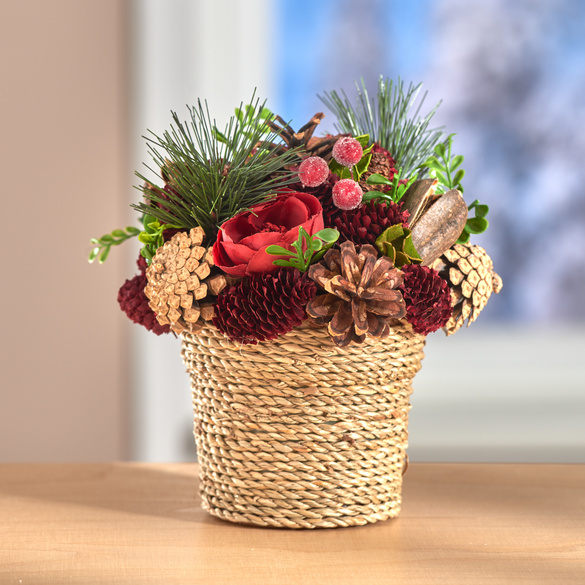 Herbstgesteck Tanne mit Beeren und Zapfen in Topf Eldo Image