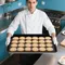 Teglia per biscotti da forno, teglia da forno da cucina, teglia da forno Resistenza alle alte temperature per cucine domestiche, pasticcini professionali