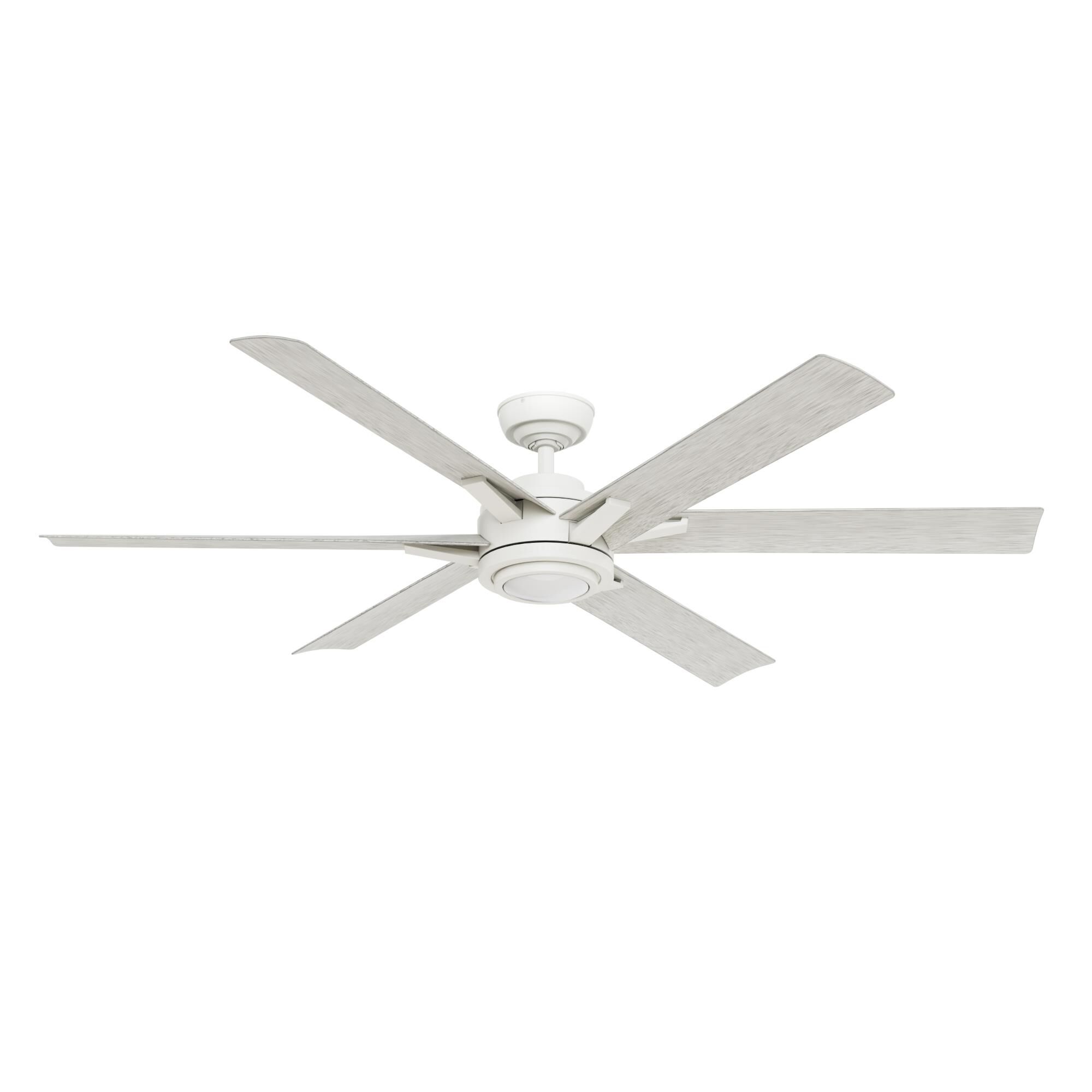Casablanca Fan Company Melia 65 Inch Ceiling Fan with Light Kit - 53568