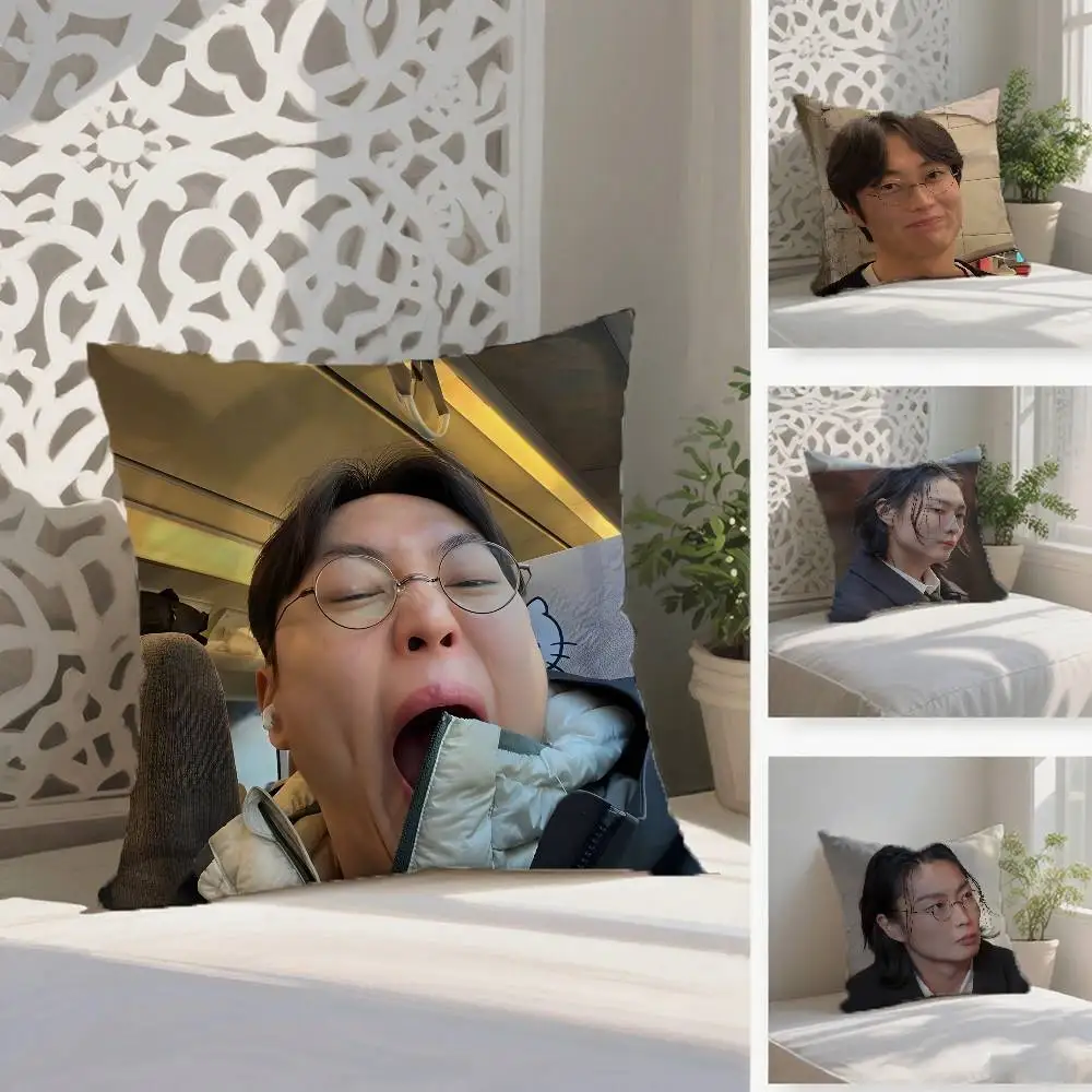 R-Roh J-Jae Won Kissenbezug, Anti-Dustmite-Kissenbezug, unsichtbarer Reißverschluss, seidiger kurzer Plüsch-Sofa-Kissenbezug Image