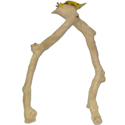 A&E Cage Company Multi Branch Java Perch, Large