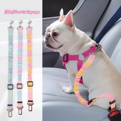 Extendable Retractable Pet Leash Anti Bite Dog Tether Stretchable Car Safety Strap for Cats Dogs Outdoor Secure Travel