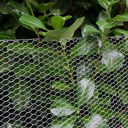 Maschendraht Kaninchendraht Drahtgitter Sechseckgeflecht | 25m Drahtrolle | 100cm(H) | Maschenweite 13x13mm | 0.9mm verzinkt Image