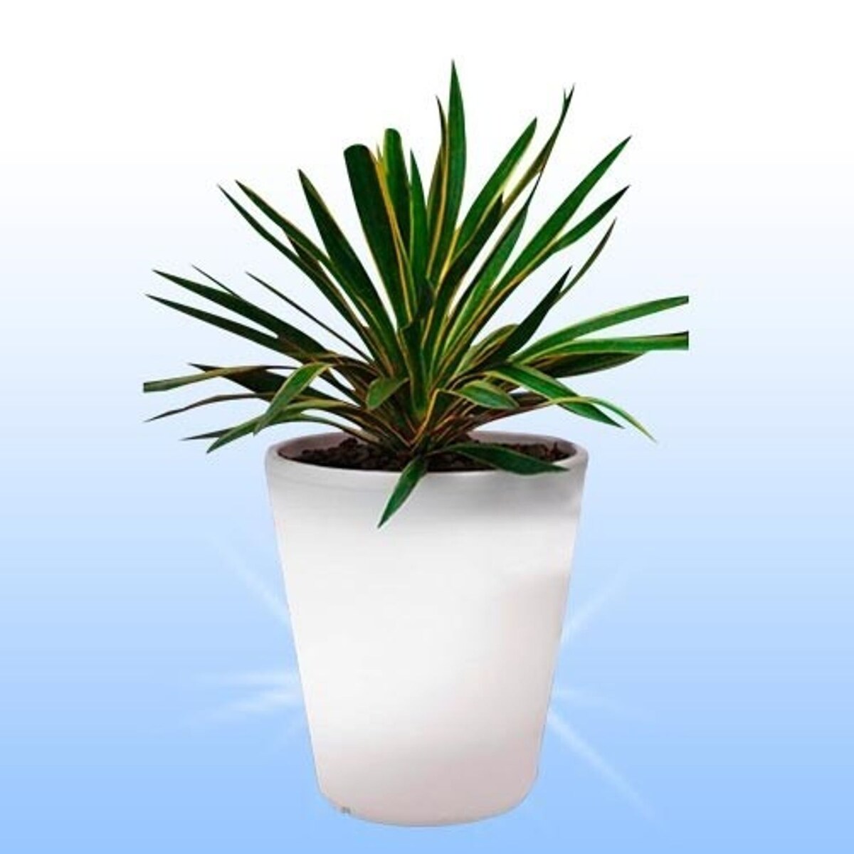 Solar Led Pflanzkübel Topf Blumentopf 28cm Kübel Pflanzentopf leuchtend Blume Weiß 28 Image