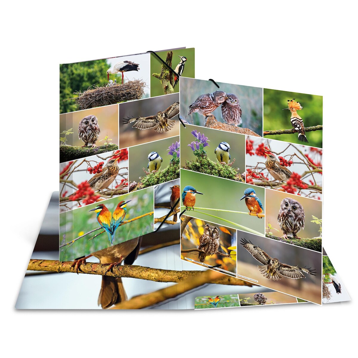 Herma Sammelmappe Eckspanner Karton A3 Heimatvögel Image